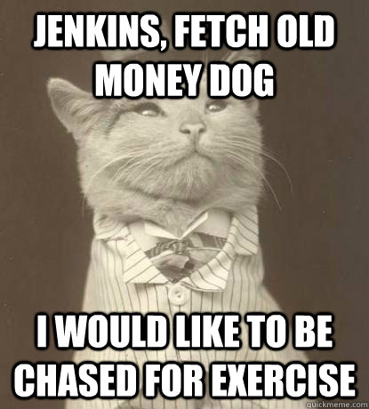 Jenkins, fetch old money dog I would like to be chased for exercise  Aristocat