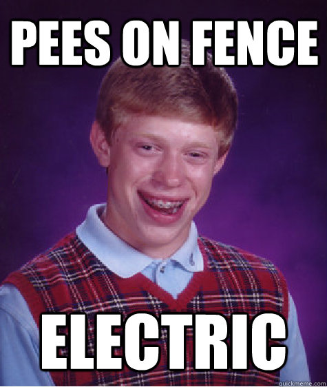 Pees on fence Electric  Bad Luck Brian
