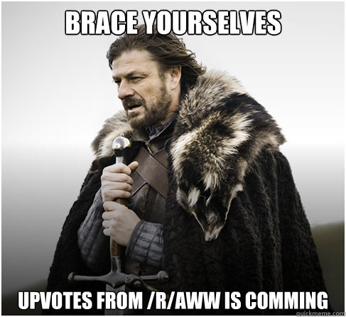 Brace Yourselves Upvotes from /r/aww is comming  boromirkimjong