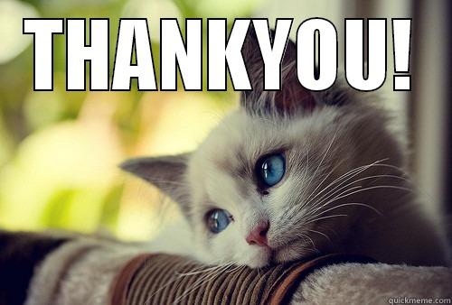 THANKYOU BY CAT - THANKYOU!  First World Problems Cat