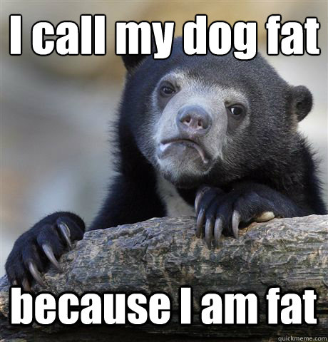 I call my dog fat because I am fat  Confession Bear