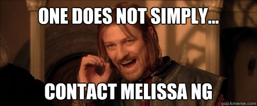 One does not simply... Contact melissa ng  Mordor