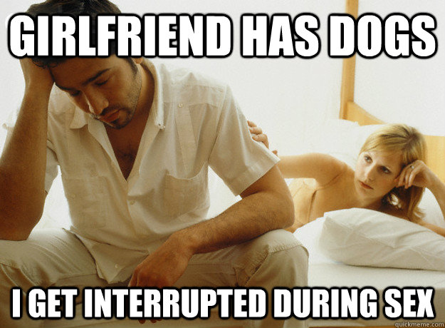 Girlfriend has dogs i get interrupted during sex - Girlfriend has dogs i get interrupted during sex  Boyfriend Problems
