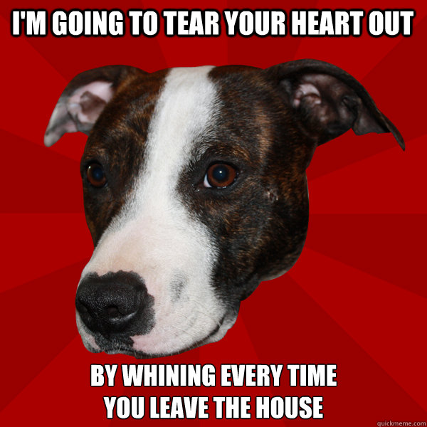 I'M GOING TO TEAR YOUR HEART OUT BY WHINING EVERY TIME
YOU LEAVE THE HOUSE  Vicious Pitbull Meme