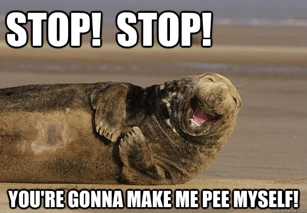STOP!  STOP! You're gonna make me pee myself!  Sea Lion Brian