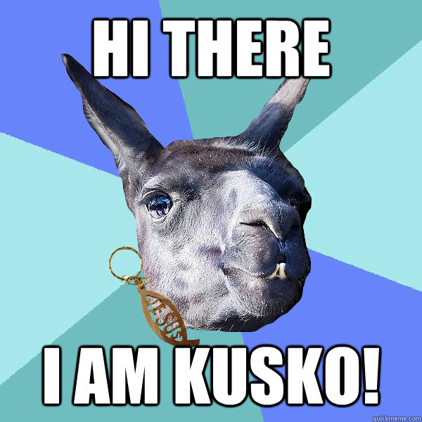 Hi there I am Kusko!  Christian Mama Llama