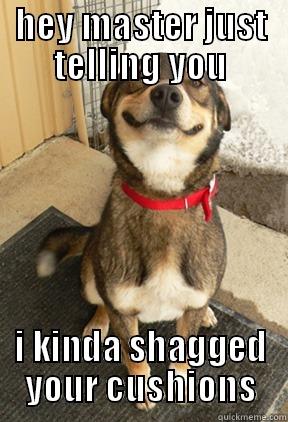 HEY MASTER JUST TELLING YOU I KINDA SHAGGED YOUR CUSHIONS Good Dog Greg