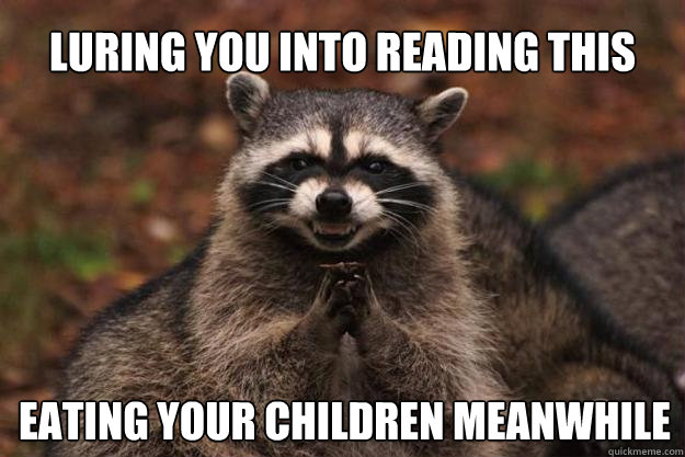 luring you into reading this meme eating your children meanwhile  Evil Plotting Raccoon