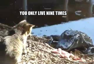 You only live nine times  