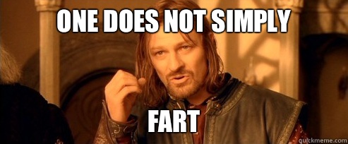 One does not simply Fart  One Does Not Simply