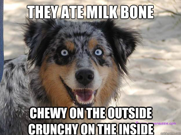 THey ate Milk Bone Chewy on the outside Crunchy on the inside  