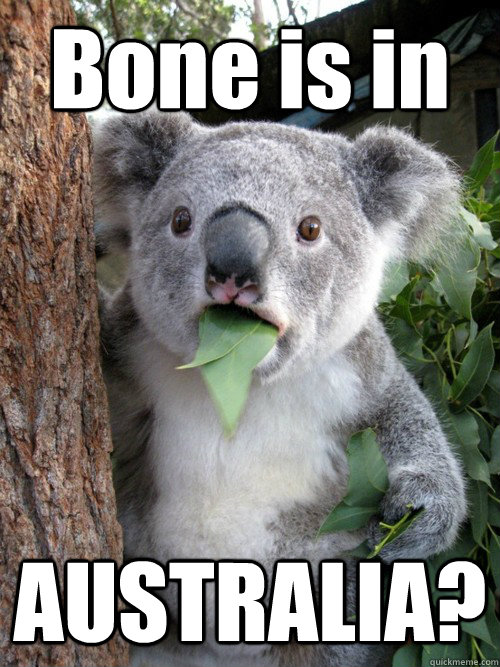 Bone is in AUSTRALIA?  Surprised Koala