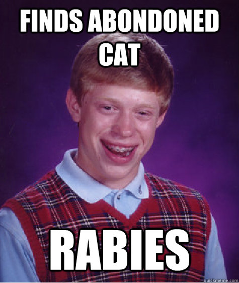 finds abondoned cat rabies  Bad Luck Brian