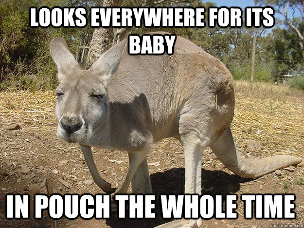 looks everywhere for its baby in pouch the whole time  