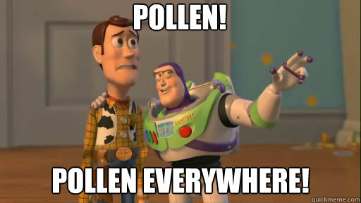 Pollen! Pollen Everywhere!  Everywhere