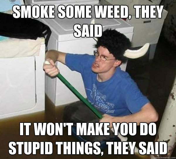 Smoke some weed, they said It won't make you do stupid things, they said  they said2