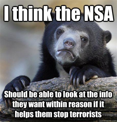 I think the NSA Should be able to look at the info they want within reason if it helps them stop terrorists  Confession Bear
