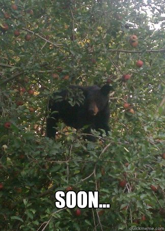  SOON...  