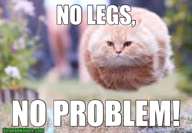 NO LEGS, NO PROBLEM! - NO LEGS, NO PROBLEM!  graceful cat
