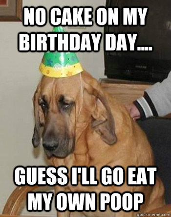 no cake on my birthday day.... guess i'll go eat my own poop  Sad Birthday Dog