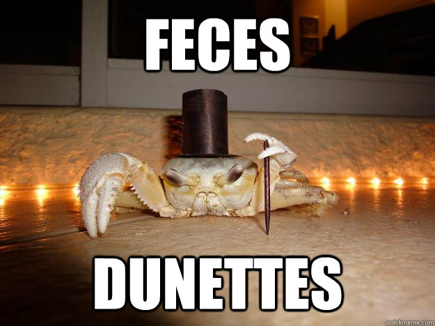 Feces dunettes  Fancy Crab