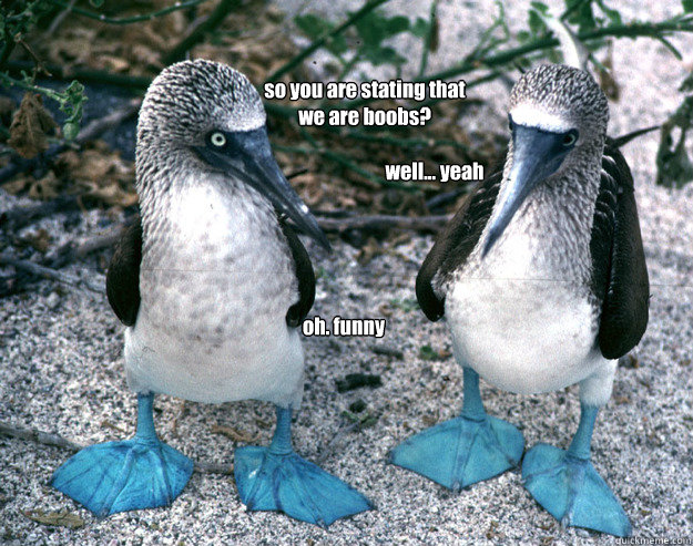 so you are stating that we are boobs? well... yeah oh. funny  Boobies