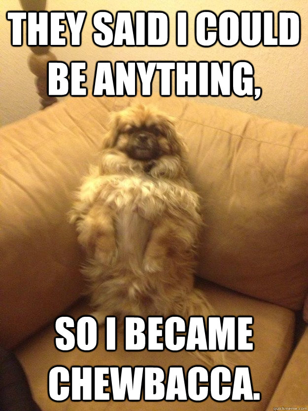 They said I could be anything, So I became Chewbacca.  Chewy