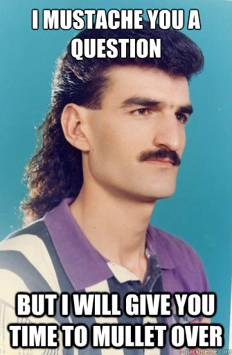 I Mustache you a question but i will give you time to mullet over  Mullet Man