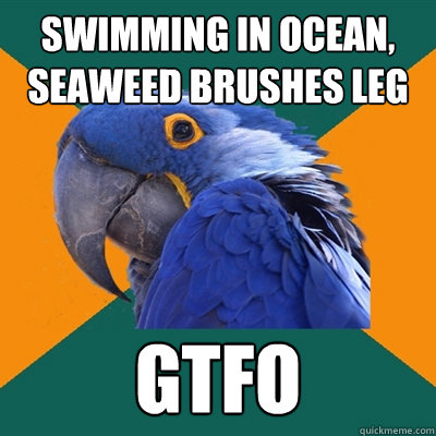 swimming in ocean,          seaweed brushes leg gtfo  Paranoid Parrot