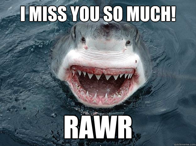 I miss you so much! RAWR - I miss you so much! RAWR  The Most Interesting Shark In The World