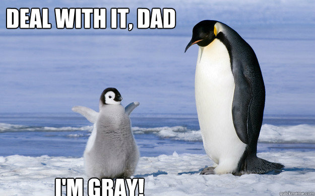 Deal with it, Dad I'm gray! - Deal with it, Dad I'm gray!  Coming Out Penguin