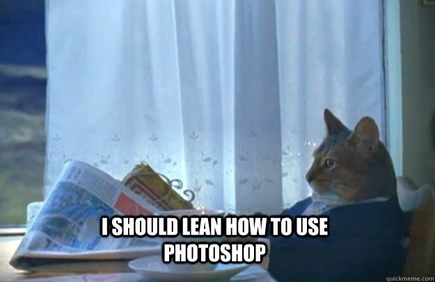 I should lean how to use photoshop  Sophisticated Cat