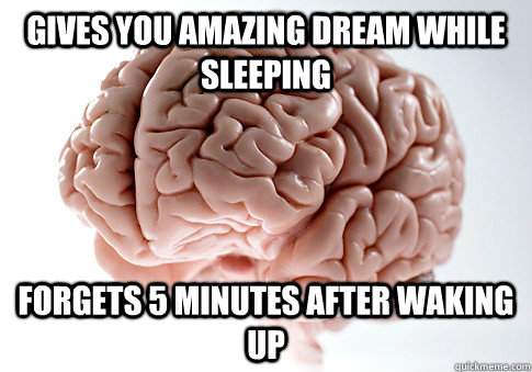 GIVES YOU AMAZING DREAM WHILE SLEEPING FORGETS 5 MINUTES AFTER WAKING UP   Scumbag Brain