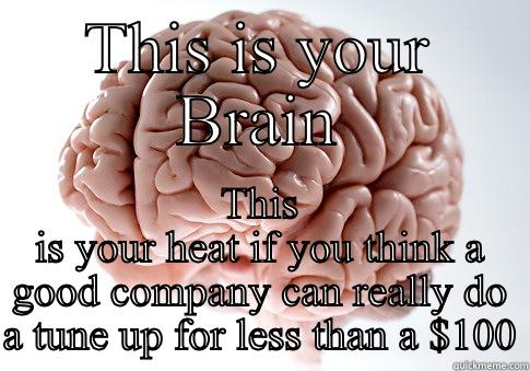 THIS IS YOUR BRAIN THIS IS YOUR HEAT IF YOU THINK A GOOD COMPANY CAN REALLY DO A TUNE UP FOR LESS THAN A $100 Scumbag Brain