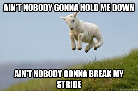 ain't nobody gonna hold me down ain't nobody gonna break my stride - ain't nobody gonna hold me down ain't nobody gonna break my stride  hoppy lamb