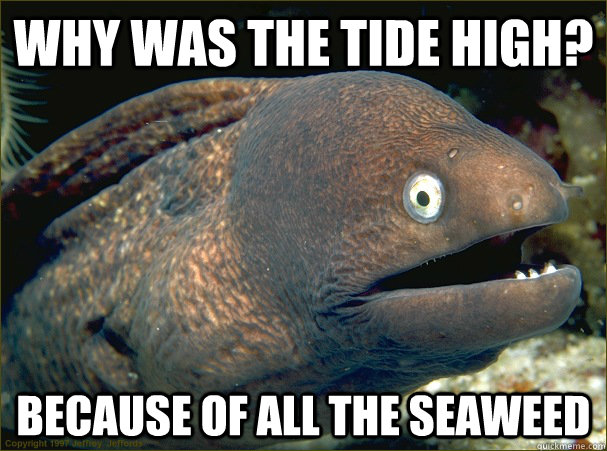 Why was the tide high? Because of all the seaweed  Bad Joke Eel