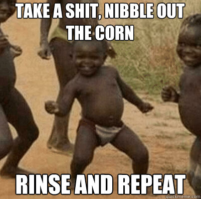 take a shit, nibble out the corn rinse and repeat  Third World Success Kid