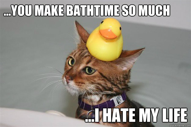 ...You make bathtime so much ...i hate my life  Bathtub Cat