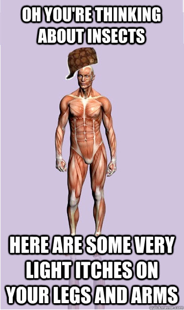 Oh you're thinking about insects Here are some very light itches on your legs and arms - Oh you're thinking about insects Here are some very light itches on your legs and arms  Misc