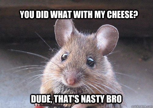 You did what with my cheese? Dude, that's nasty bro - You did what with my cheese? Dude, that's nasty bro  Ernesto the rat