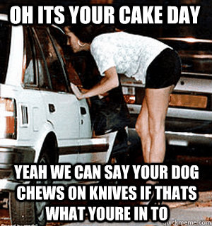 oh its your cake day yeah we can say your dog chews on knives if thats what youre in to  Karma Whore