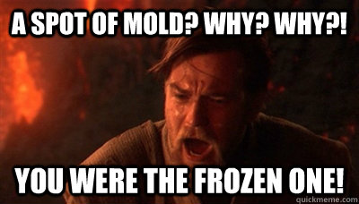 A spot of mold? Why? Why?! You were the frozen one! - A spot of mold? Why? Why?! You were the frozen one!  Epic Fucking Obi Wan