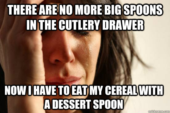 There are no more big spoons in the cutlery drawer Now I have to eat my cereal with a dessert spoon  First World Problems