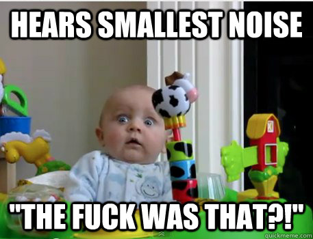 Hears smallest noise 