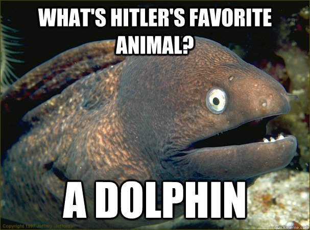 What's Hitler's favorite animal? A Dolphin  Bad Joke Eel