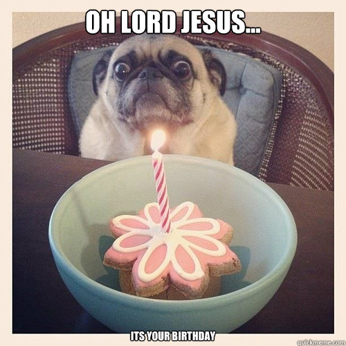 Oh lord jesus... its your birthday  Scared birthday pug