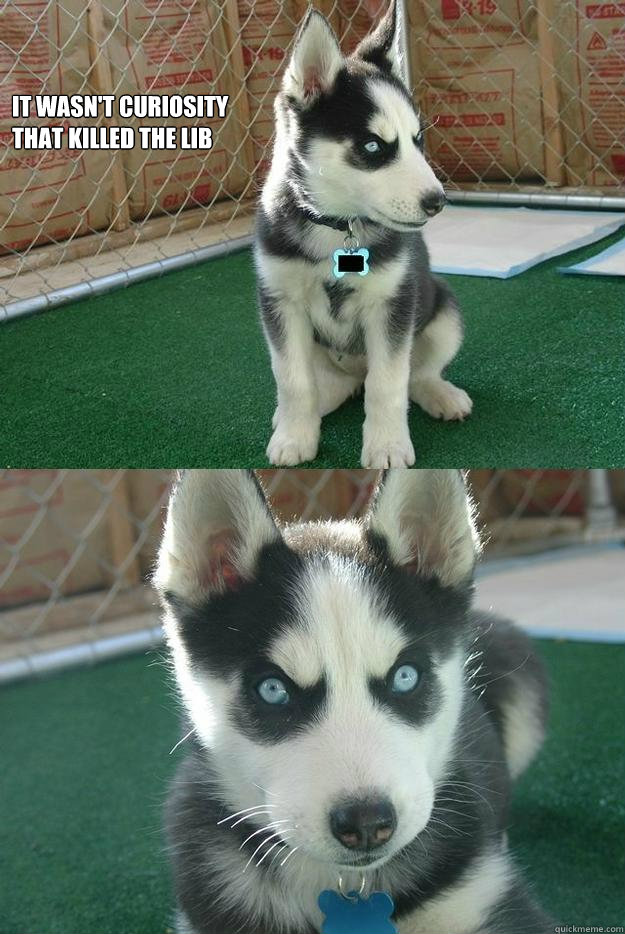 It wasn't curiosity 
that killed the LiB   Insanity puppy