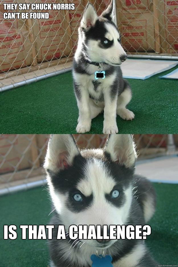 They say Chuck Norris 
can't be found Is that a challenge?  Insanity puppy