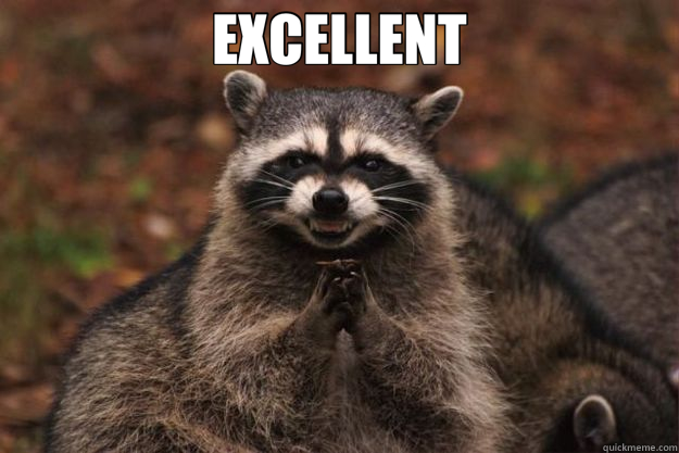 EXCELLENT   Evil Plotting Raccoon