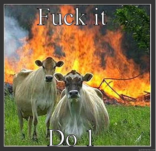 Cow  - FUCK IT  DO 1  Evil cows